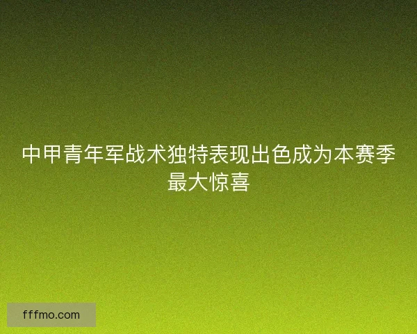 中甲青年军战术独特表现出色成为本赛季最大惊喜