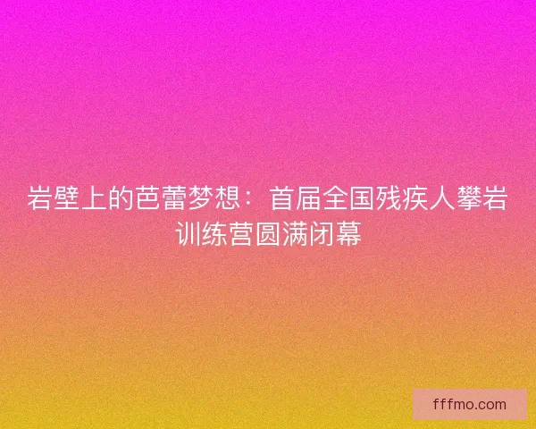岩壁上的芭蕾梦想：首届全国残疾人攀岩训练营圆满闭幕